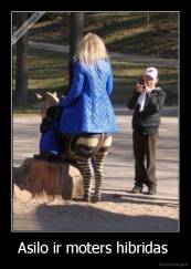 Asilo ir moters hibridas  - 