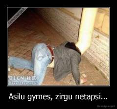 Asilu gymes, zirgu netapsi... - 
