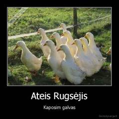 Ateis Rugsėjis - Kaposim galvas