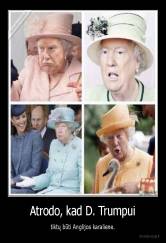 Atrodo, kad D. Trumpui - tiktų būti Anglijos karaliene.