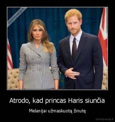 Atrodo, kad princas Haris siunčia - Melanijai užmaskuotą žinutę