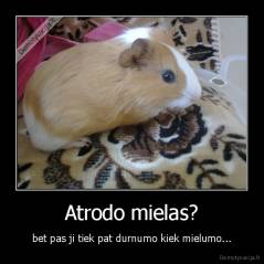Atrodo mielas? - bet pas ji tiek pat durnumo kiek mielumo...