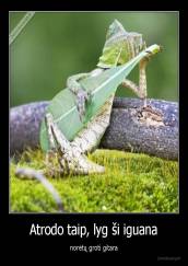 Atrodo taip, lyg ši iguana - norėtų groti gitara