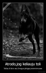 Atrodo,jog keliauju toli - Tačiau iš tikro esu žmogus įstrigęs prisiminimuose