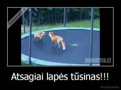 Atsagiai lapės tūsinas!!! - 