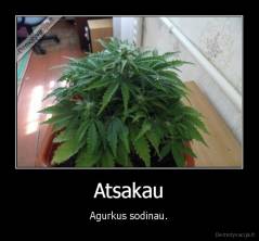 Atsakau - Agurkus sodinau.