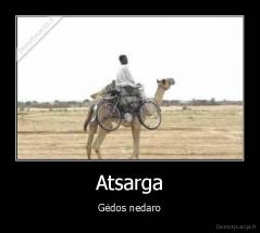 Atsarga - Gėdos nedaro