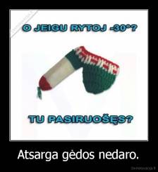 Atsarga gėdos nedaro. - 
