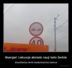 Atsargiai! Lietuvoje atsirado nauji kelio ženklai - draudžiantys lenkti besilenkiančius katinus