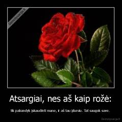 Atsargiai, nes aš kaip rožė: - tik pabandyk įskaudinti mane, ir aš tau įdursiu. Tat saugok save. 