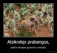 Atsikratęs prabangos, - pažinsi tikrąsias gyvenimo vertybes.