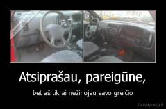 Atsiprašau, pareigūne, - bet aš tikrai nežinojau savo greičio