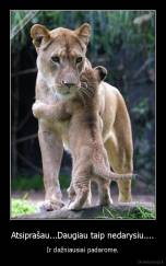 Atsiprašau...Daugiau taip nedarysiu.... - Ir dažniausiai padarome.