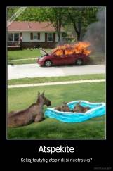 Atspėkite - Kokią tautybę atspindi ši nuotrauka?