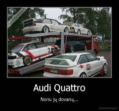 Audi Quattro - Noriu jų dovanų...