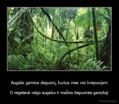 Augalai gamina deguonį, kuriuo mes visi kvėpuojam - O vegetarai valgo augalus ir mažina deguonies gamybą!