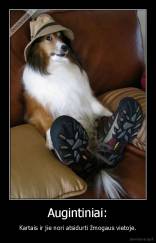 Augintiniai: - Kartais ir jie nori atsidurti žmogaus vietoje.