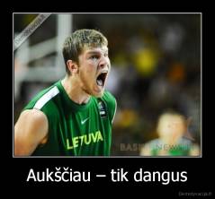 Aukščiau – tik dangus - 