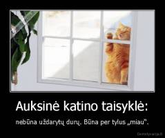 Auksinė katino taisyklė: - nebūna uždarytų durų. Būna per tylus „miau“.