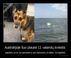 Australijoje šuo plaukė 11 valandų kviestis  - pagalbos, po to, kai apsivertė su savo šeimininku iš valties. Visi išgelbėti.