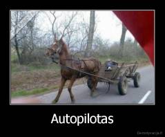 Autopilotas - 