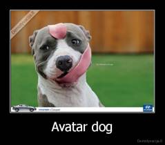 Avatar dog - 