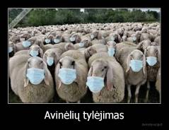Avinėlių tylėjimas - 