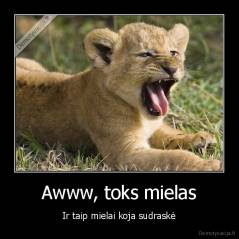 Awww, toks mielas - Ir taip mielai koja sudraskė