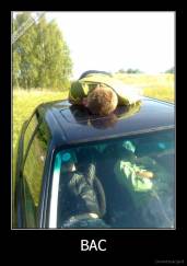 BAC - 