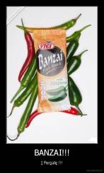 BANZAI!!! - Į Pergalę !!!