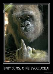 B*B* JUMS, O NE EVOLIUCIJĄ! - 