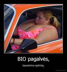 BIO pagalvės, - tausokime aplinką.