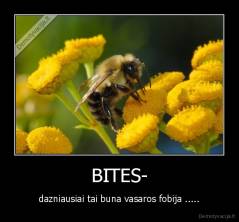 BITES- - dazniausiai tai buna vasaros fobija .....