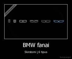 BMW fanai - Skirstomi į 6 tipus