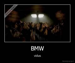 BMW - vidus