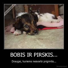 BOBIS IR PIRSKIS... - Draugai, kuriems nesvarbi prigimtis...