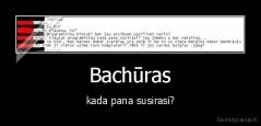 Bachūras - kada pana susirasi?