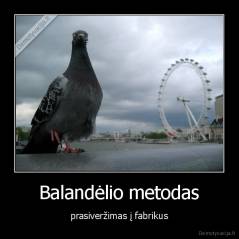 Balandėlio metodas - prasiveržimas į fabrikus