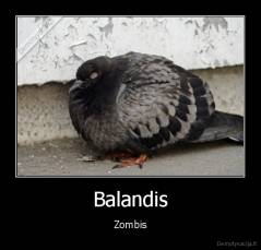 Balandis - Zombis
