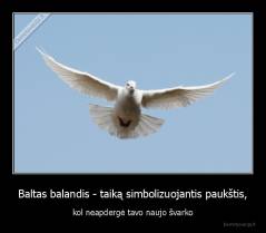 Baltas balandis - taiką simbolizuojantis paukštis, - kol neapdergė tavo naujo švarko