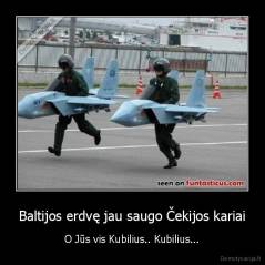 Baltijos erdvę jau saugo Čekijos kariai - O Jūs vis Kubilius.. Kubilius...