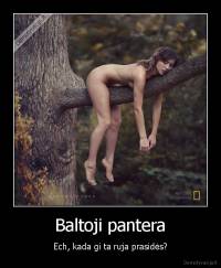 Baltoji pantera - Ech, kada gi ta ruja prasidės?