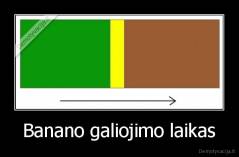 Banano galiojimo laikas - 