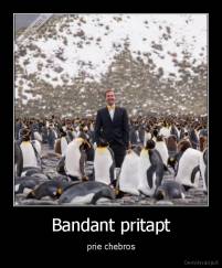 Bandant pritapt - prie chebros