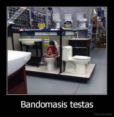 Bandomasis testas - 