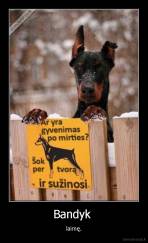 Bandyk  - laimę.
