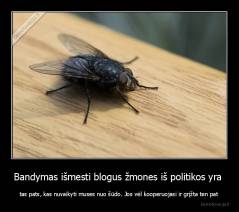 Bandymas išmesti blogus žmones iš politikos yra  - tas pats, kas nuvaikyti muses nuo šūdo. Jos vėl kooperuojasi ir grįžta ten pat