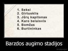 Barzdos augimo stadijos - 