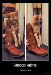 Batuotas katinas, - nepavykę kadrai