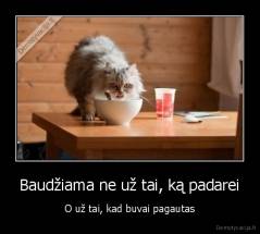 Baudžiama ne už tai, ką padarei - O už tai, kad buvai pagautas